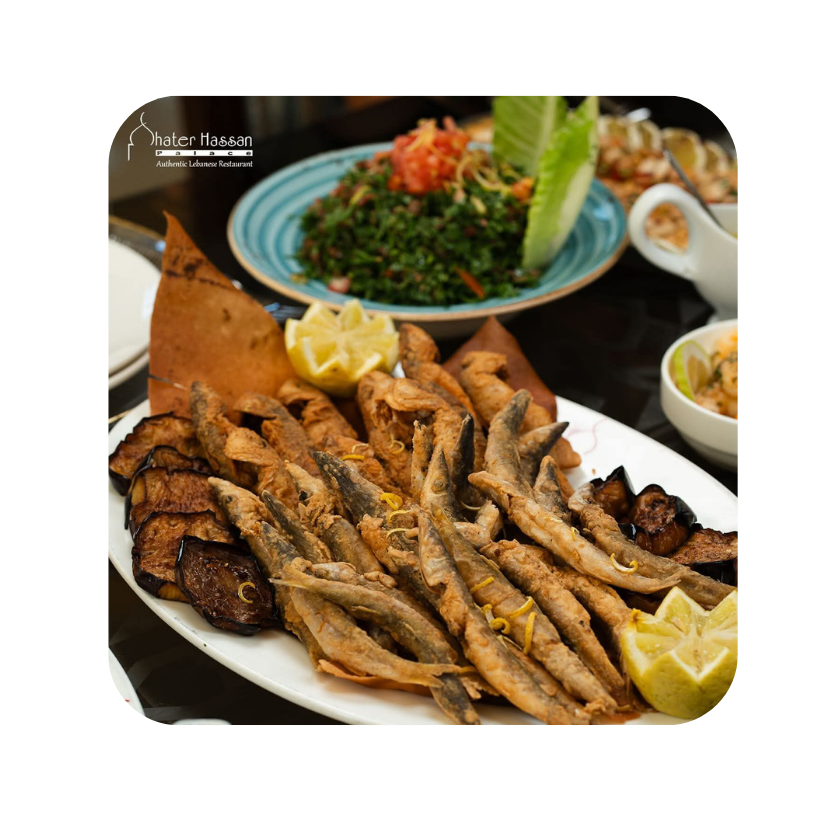 مكتب خدمات 2026 02 16t131058.346