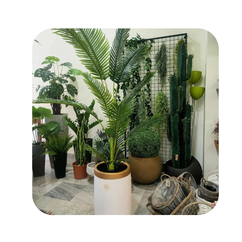 مكتب خدمات 2026 02 26t125508.449