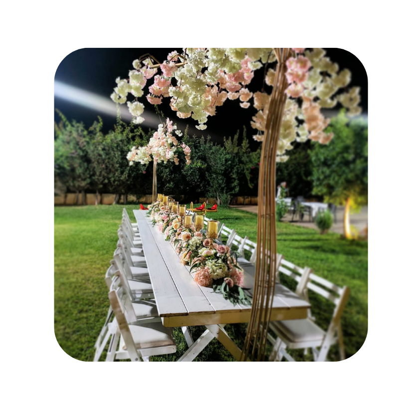 مكتب خدمات 2026 02 26t125541.690