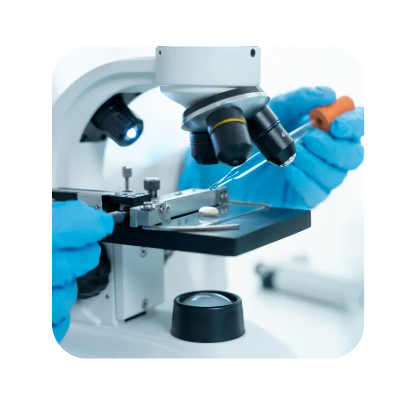 مكتب خدمات 2026 04 14t153429.118