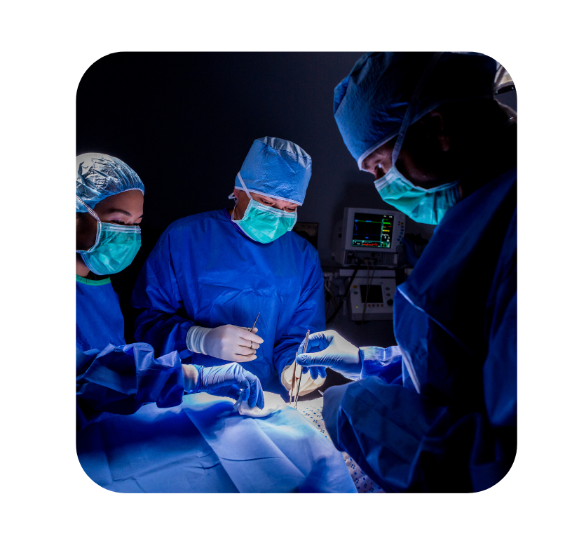 مكتب خدمات (81)