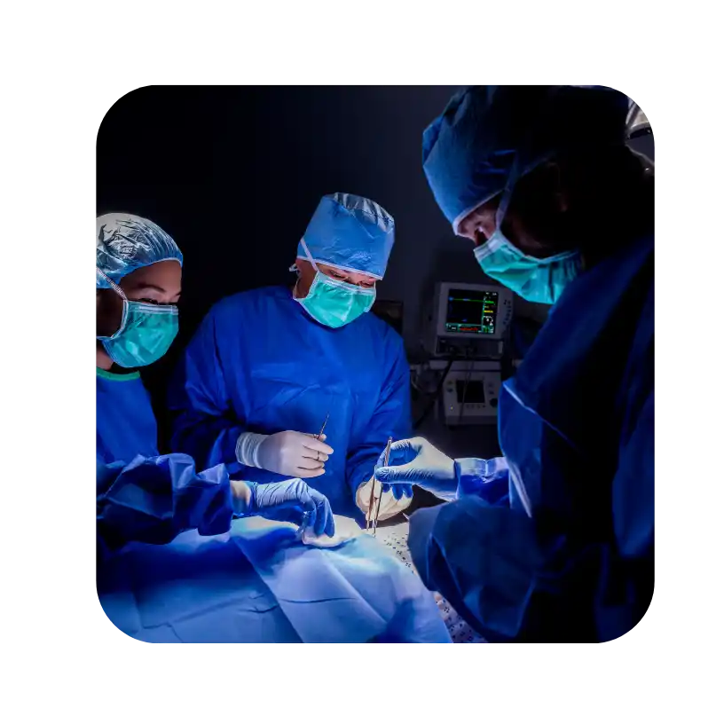 مكتب خدمات 2026 04 03t123809.355